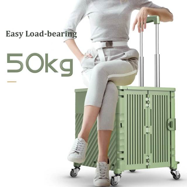 65L Nagy Kapacitású Bevásárlókosár Otthoni Hordozható Összecsukható Kocsi Piknik Vásárláshoz Élelmiszerbolt Kézbesítési Kis Expressz - Image 4