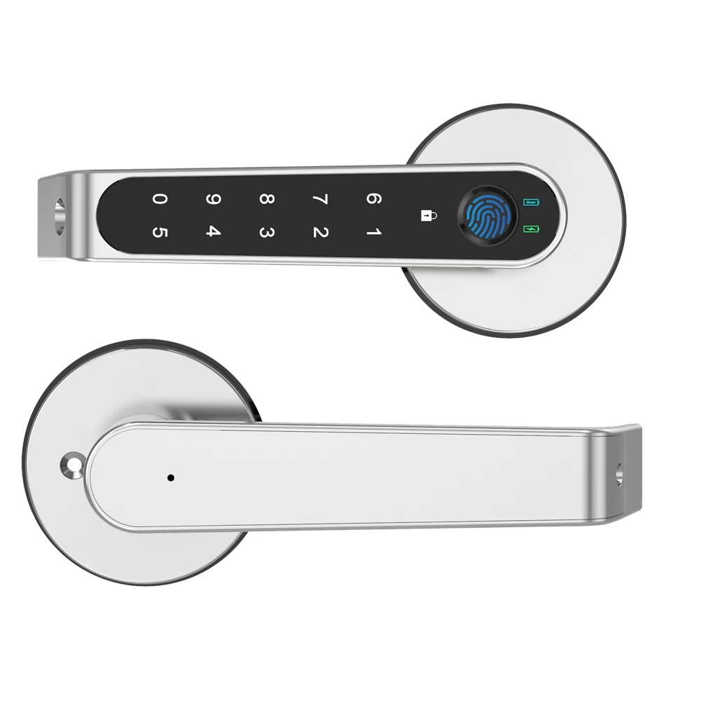 Fingerprint Door Handle Outdoor Electric Lock Outdoor Gate Smart