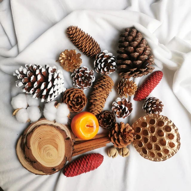 100pcs/Lot Mini Small Natural Pine Cones Dried Flowers for Christmas  Decoration or Crafting - AliExpress