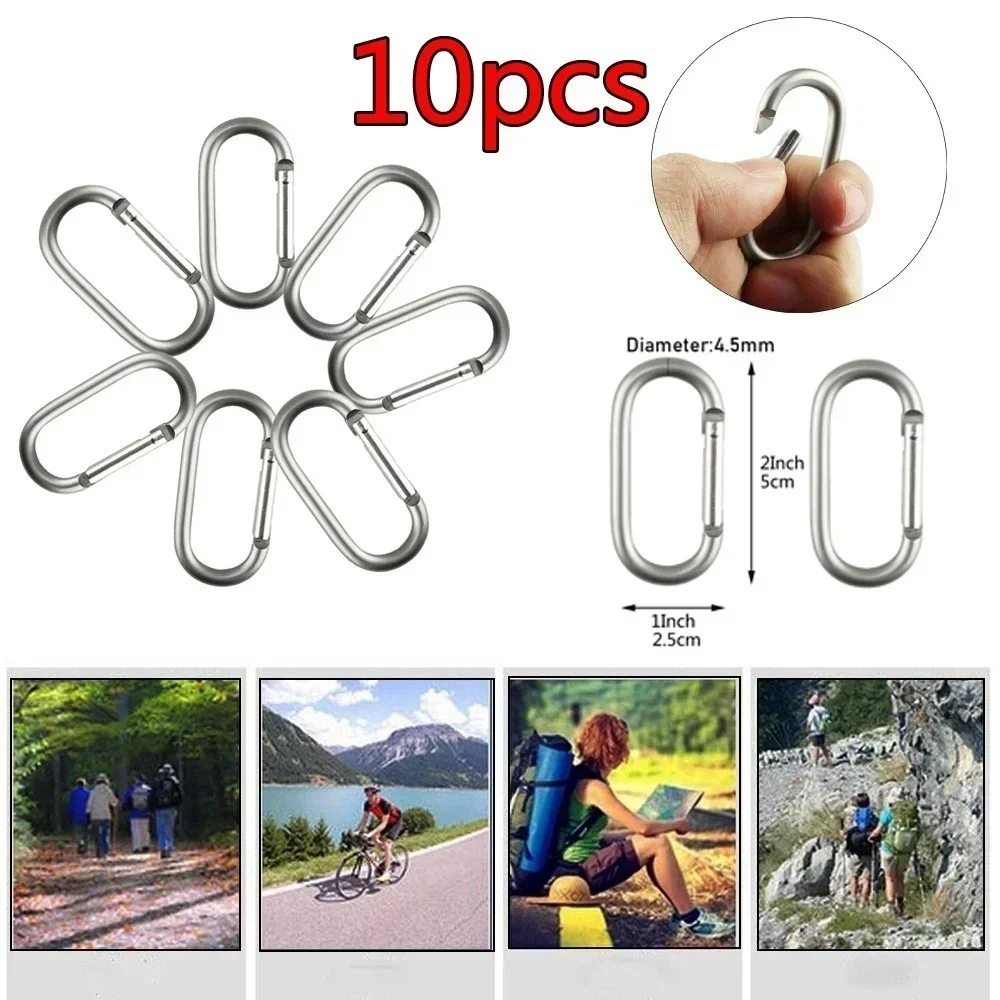Stainless Steel Carabiner 10pcs climbing carabiner