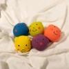 Squeaky Toys For Small Dogs Pig Shape Puppy Balls Teething Toys Pet Toys Fun For Indoor Puppies And Dogs Chewing And Playing 1