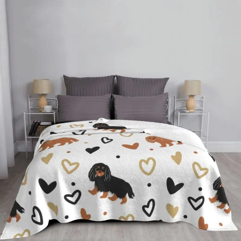 ���� ī�߸��� ŷ ���� ���дϾ� ��Ʈ�� ����Ʈ �ø��� ���, ������ �ö��� �� ��� ħ�� ���� ���� ħ�뺸