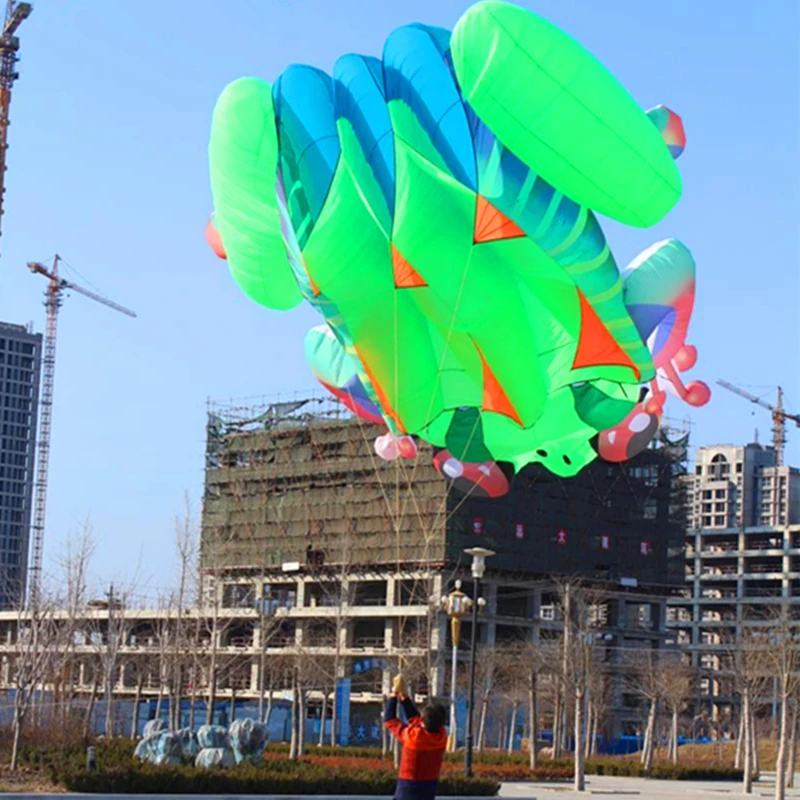 

free shipping 40sqm large frog soft kite line nylon big kite flying inflatable kites for adults reel animated kites dolphin bird