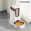 Automatic Pet Feeder/Water Dispenser, Gravity Vision Dog Feeder Water Dispenser With Stainless Steel Bowl, Indoor Dog Automatic 5