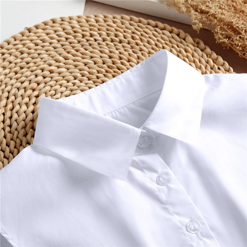 Fake collar shirt jumper Women's Spring Fall Solid Colour Vertical Small Flip Collar Versatile Shirt Jumper False Collar