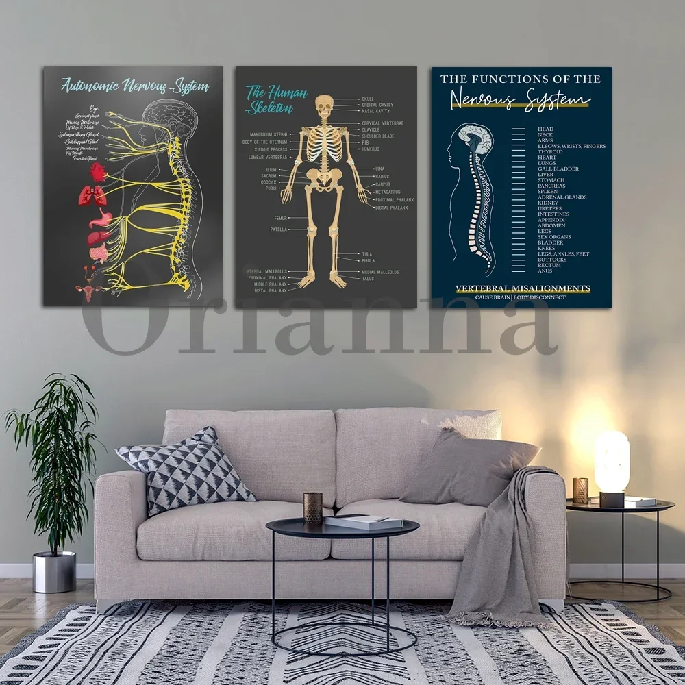 Nervous System Function Chart 2