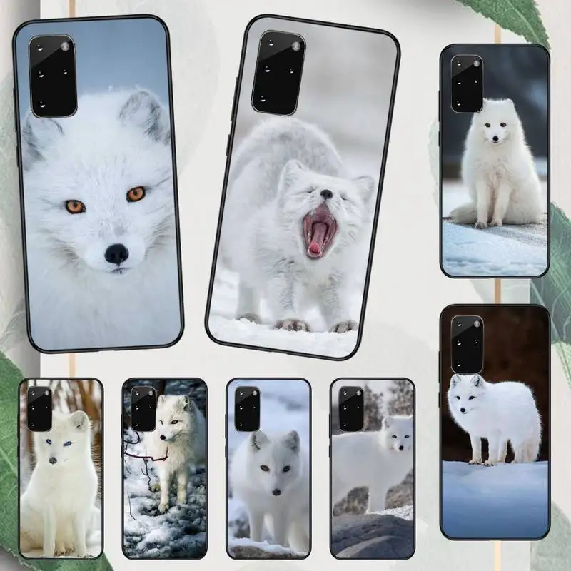 Arctic Fox Cute Animal Phone Case Per Samsung Galaxy A S Note 23 53 22 20 52 21 13 51 71 32 12 10 Fe Ultra Plus
