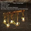 FAIRY American Country Pendant Lamp Retro Creativity Plant Music Restaurant Cashier Counter Bar Cafe Milk Tea Shop Chandelier 2