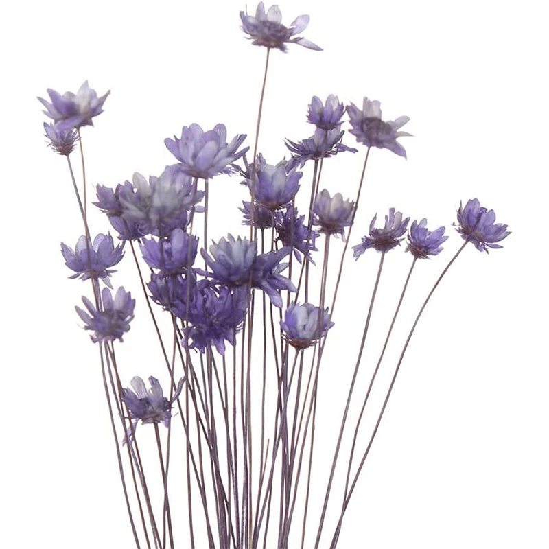 Flores Secas con Tallo Azules para Resina - Megabyte Papelería, C.A.