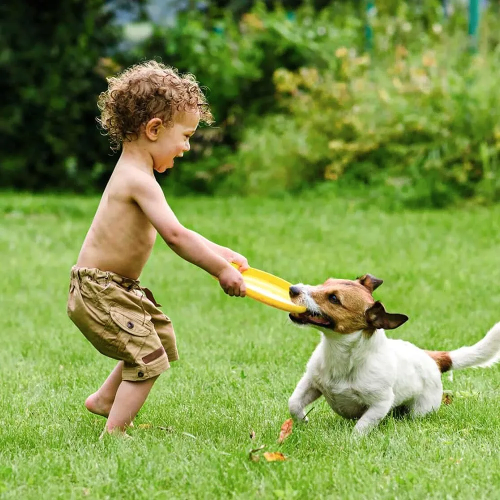 Artificial grass carpet 4x6 feet realistic dog indoor and outdoor carpet with drainage holes, garden lawn