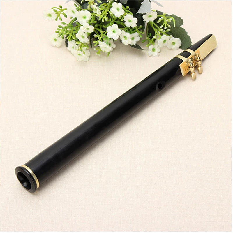 Pocket Sax Alto C Tune Mini Sax Saxophone Little ophone Black With Carrying Bag Woodwind Instrument
