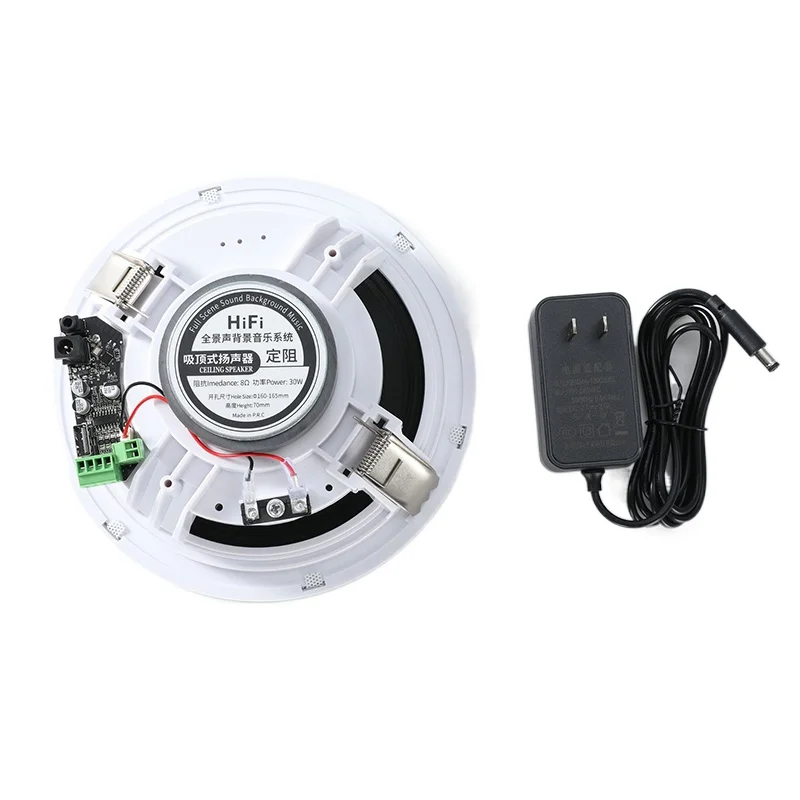 Wireless Bluetooth 30W Wall-mounted Ceiling Speaker For Home