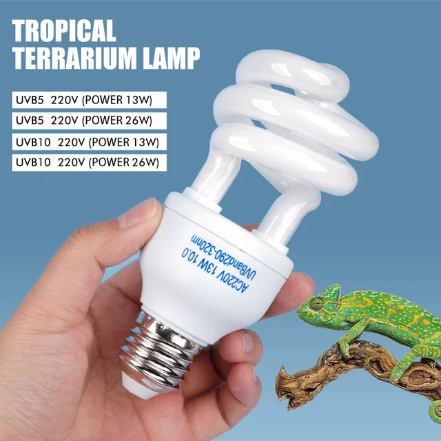 13W 26W Reptile UVB Heating Lamp Bulb 5.0 10.0 Calcium Supplement Lamps Bulbs Reptiles Box Lighting for Snake Lizard Turtle 220V 13W 26W Reptile UVB Heating Lamp Bulb 5.0 10.0 Calcium Supplement Lamps Bulbs Reptiles Box Lighting for Snake Lizard Turtle 220V