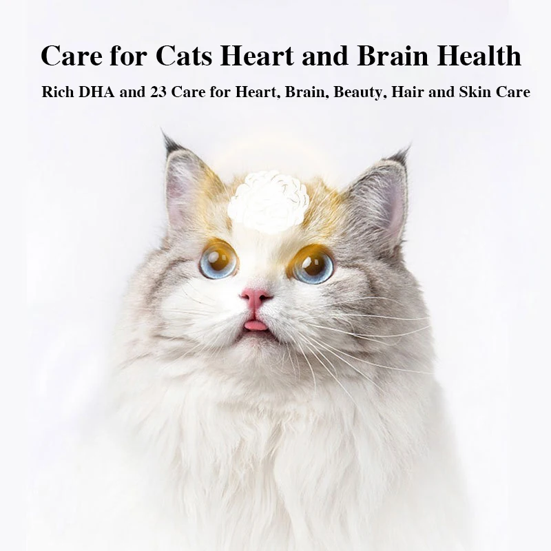 Nerve cat cat wet food steamed salmon tail 40g snacks boiled fish meat hydrating pet snacks
