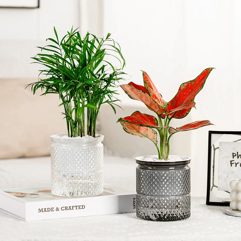 1Pc Self Watering Flowerpot 1