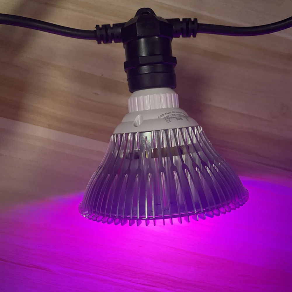 Robuste Lichterketten, bruchsicher IP65 für Terrassenbeleuchtung im Freien, wasserdichte Lichterketten für dekorative Terrassen – Detail 9
