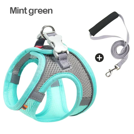 Green Harness Set