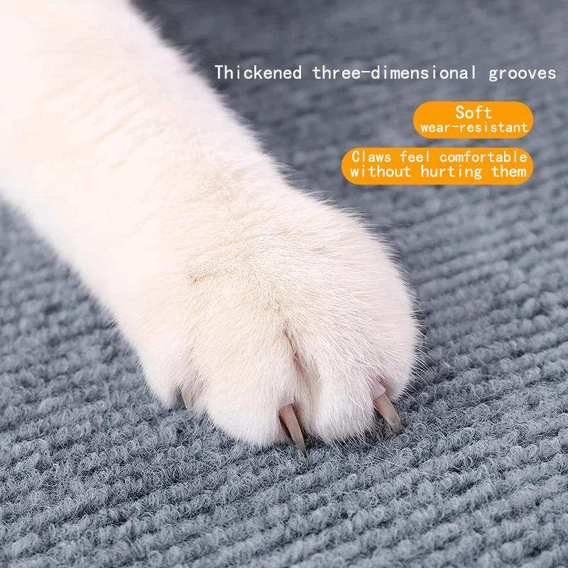 Self-Adhesive Absorbent Rug 5