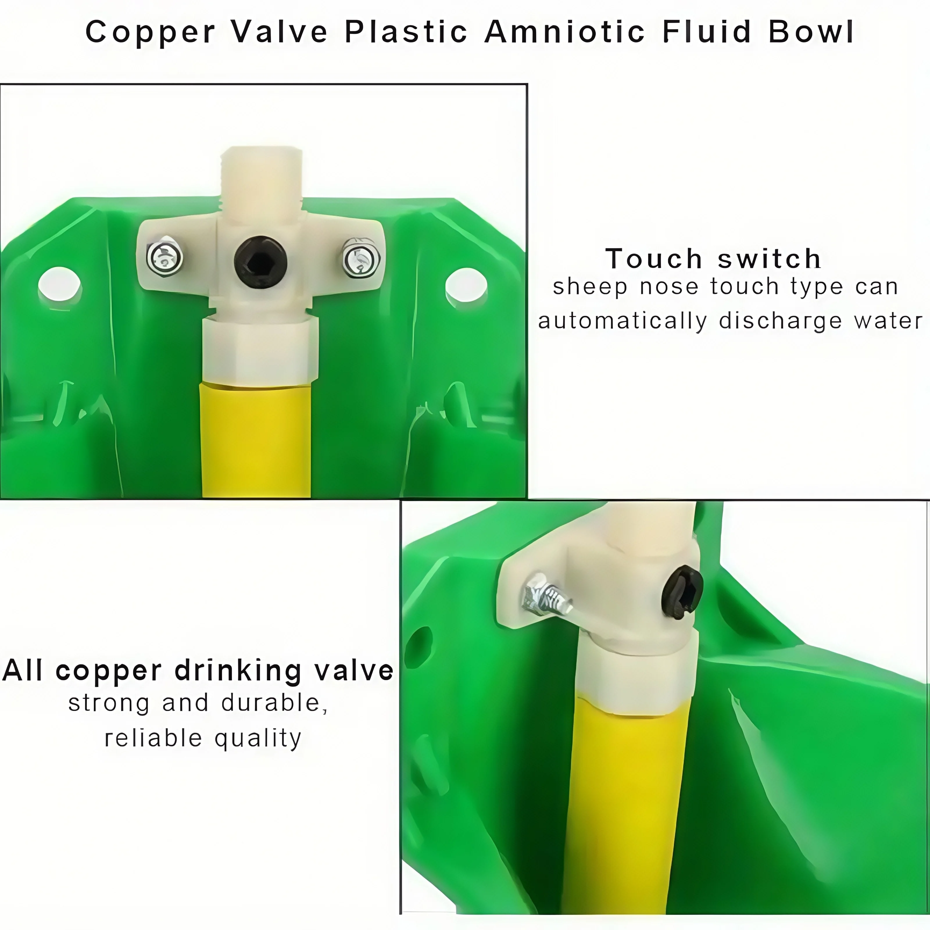Automatic Drinking Bowl 5