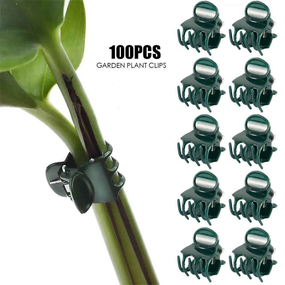 100PCS öƽ Ĺ  Ŭ     ٱ Ŭ ä     Ŭ  