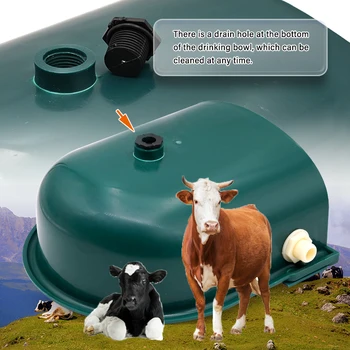 Automatic Cattle Goat Water Bowl 10