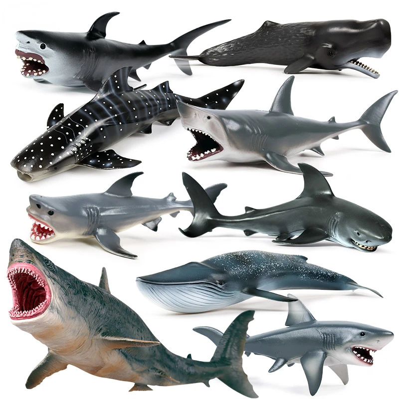 Simulazione Solida Per Bambini Modello Di Creature Marine Grande Squalo Bianco, Megalodon, Squalo Balena, Decorazione Giocattolo Balena Blu Squalo Tig