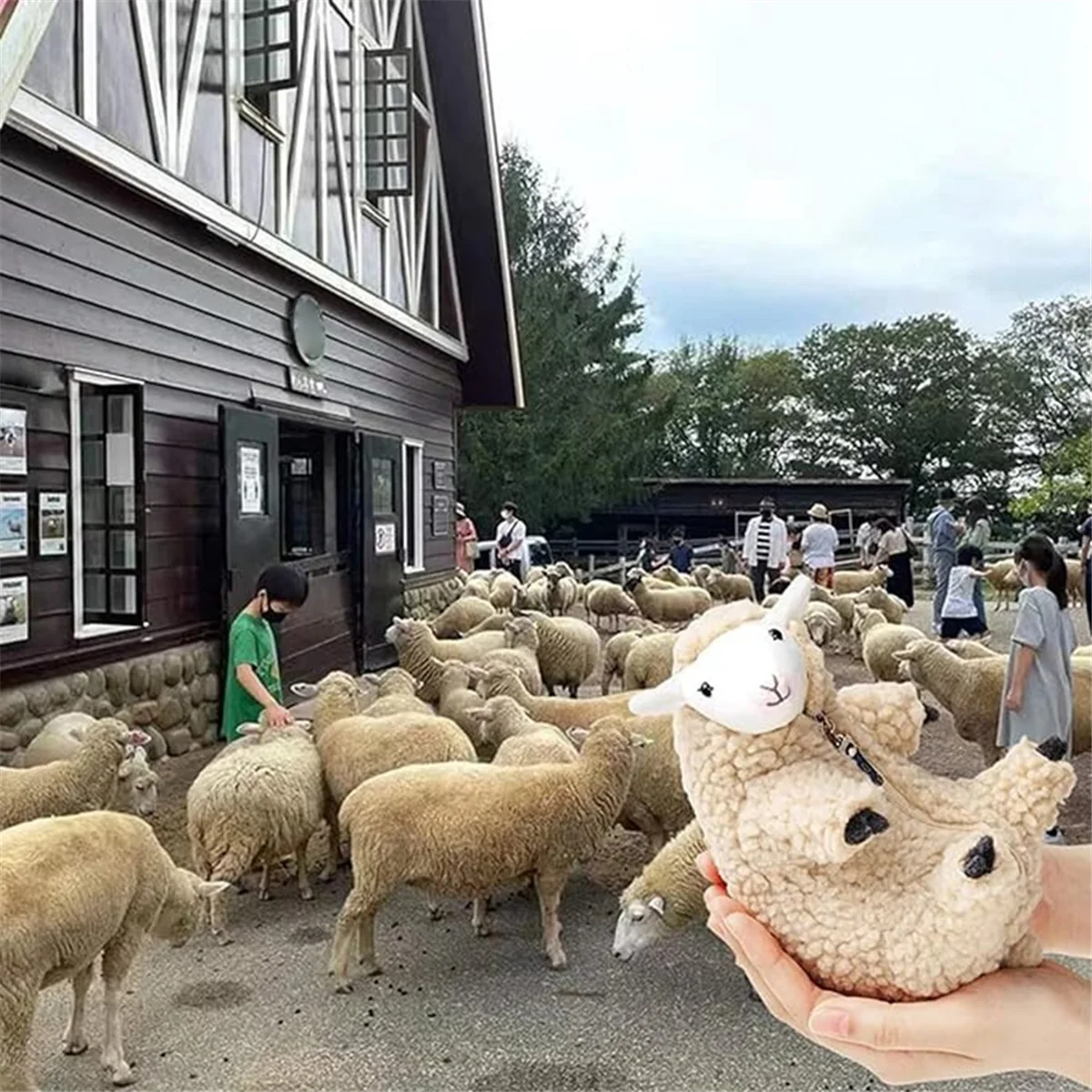 Plushies,Shaved Sheep,Funny Lamb Stuffed Animal,Cute Plushie,Sleeping Pet Buddy,Best Birthday Gifts for Girls Boys Teens 6
