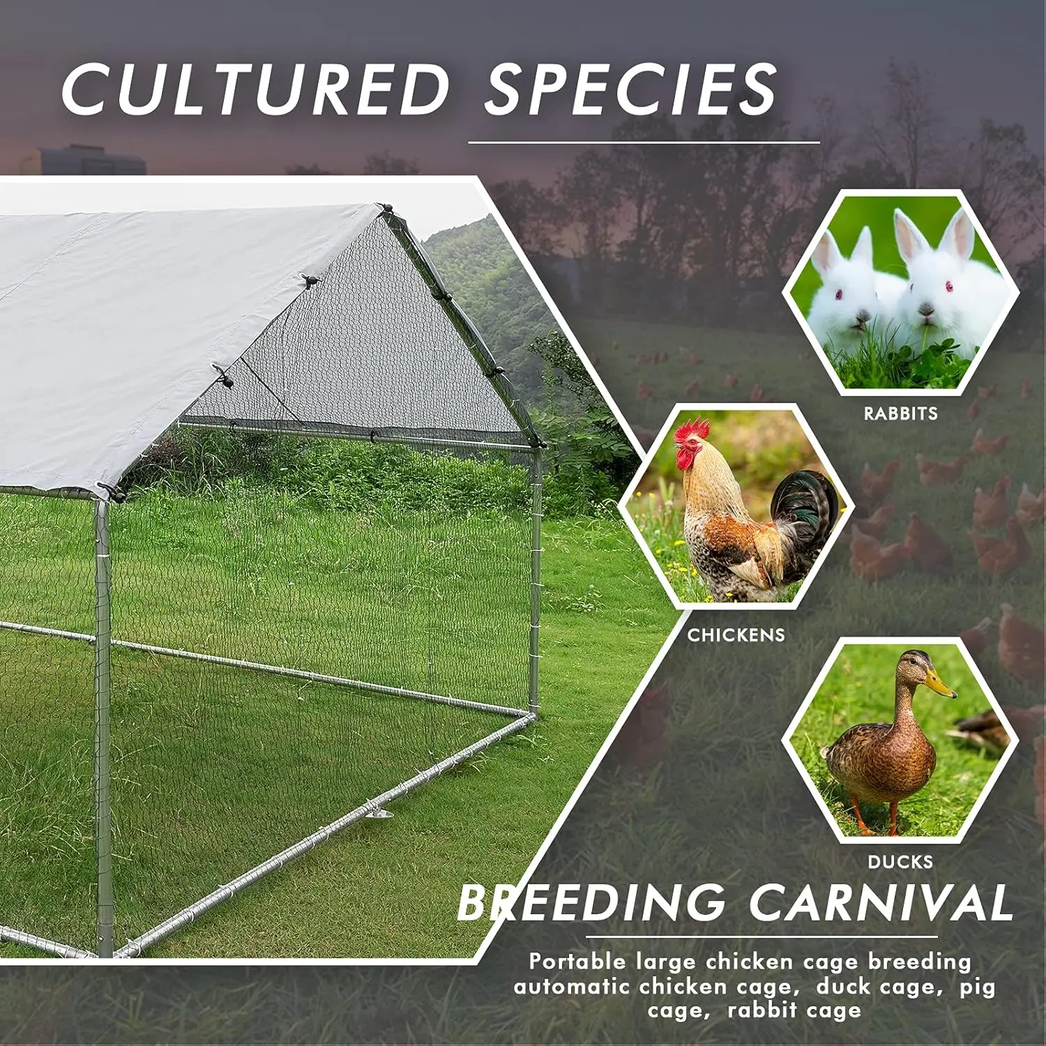 Metal Large Chicken Coop, Spire Shape Walk-in Poultry Chicken Hen cage, Rabbits Duck Cages with Waterproof and Anti-Ultraviolet 5
