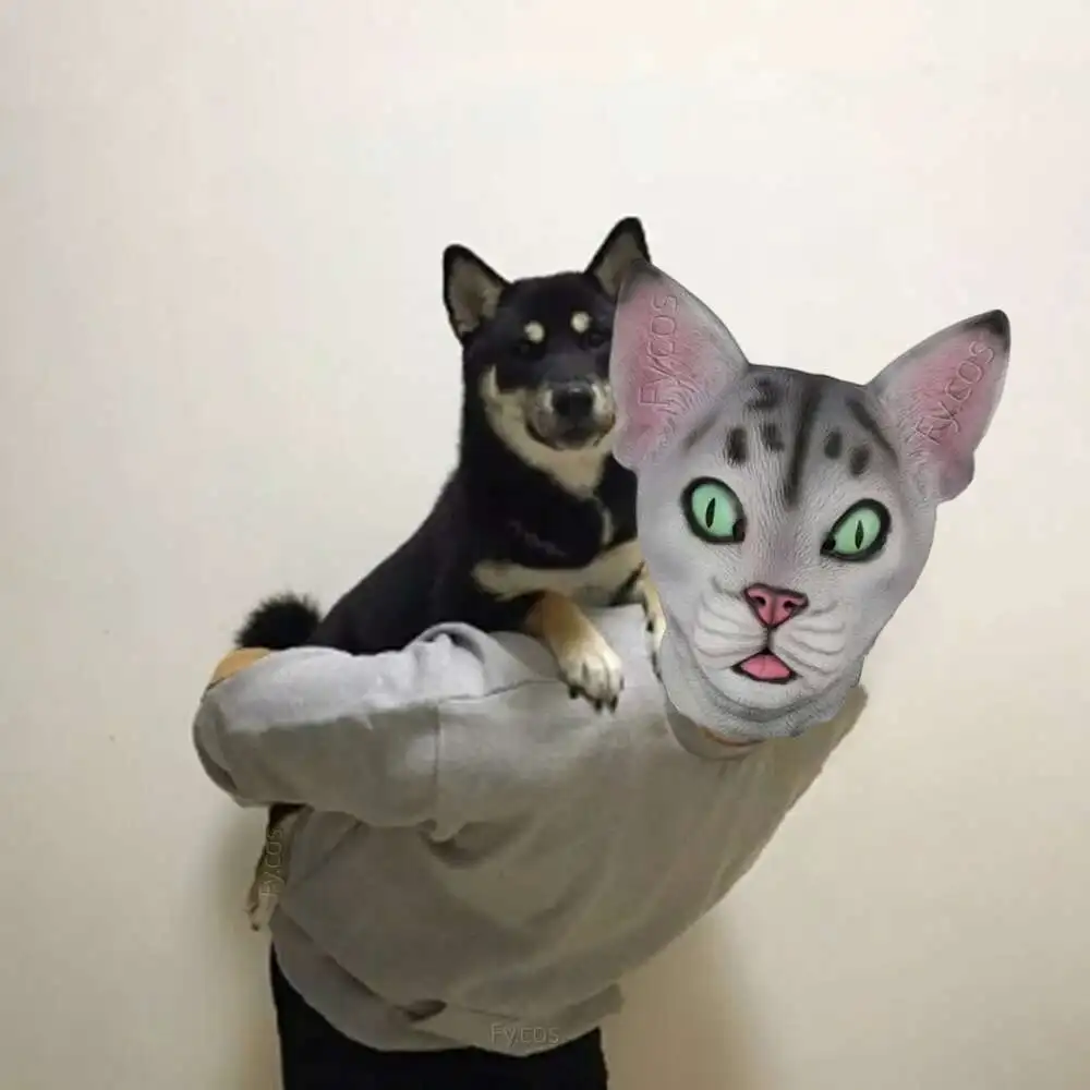 Gatti Maschere Di Carnevale Cane Maschera Per La Testa Di Gatto