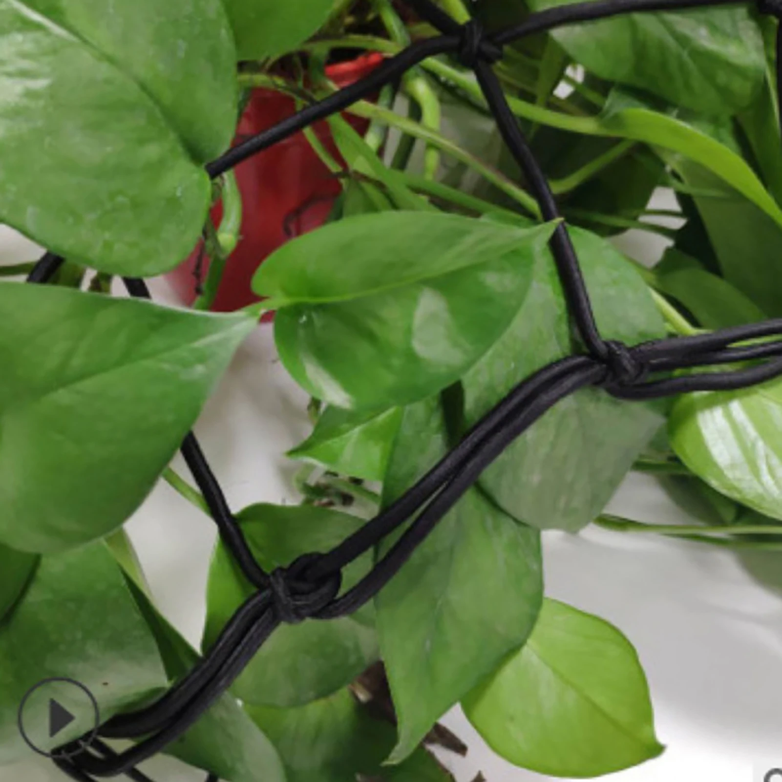 Garden Trellis Fruit Tree Protective Elastic Scrog Climbing Plants Net Mesh for garden climbing netting