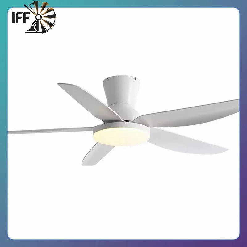 5 ABS Blade Pure Copper DC Motor Ceiling Fan with Light 42 Inch Fan Support Remote Control Ceiling Light with 220V 110V