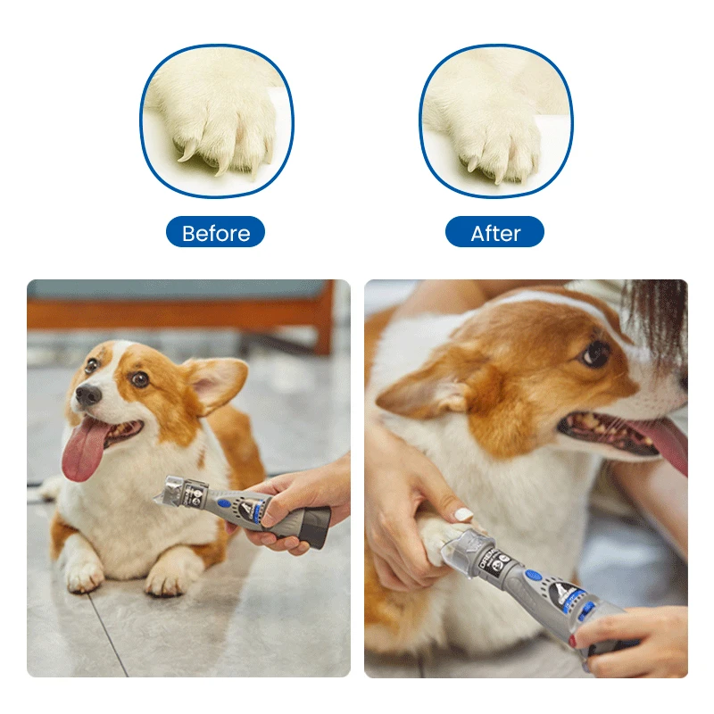 T-Tech Dremel Dog Nail Grinder Pet Paw Trimming Tools Pet Grooming Nail  Rotary Tool Kit 4V - AliExpress