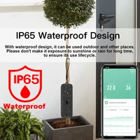 IP65 Zigbee Temperature Humidity Sensor Waterproof Outdoor Hygrometer Thermometer Work With Tuya Alexa - Image 5