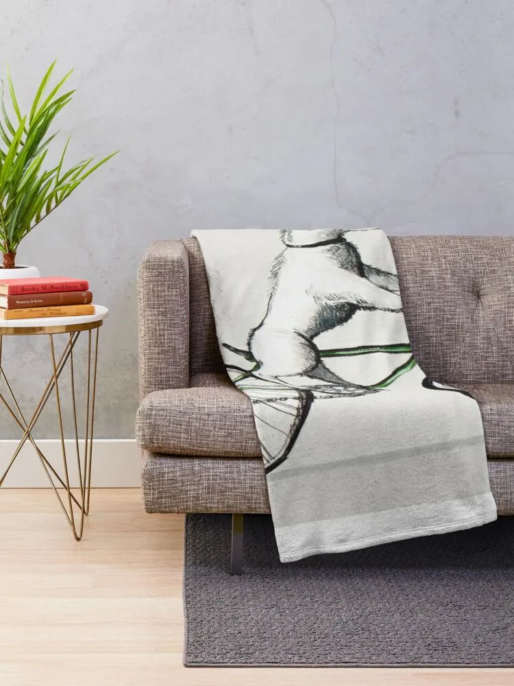 �� ���� �׸��� ������ ��� ���� ���ſ� ���, ������