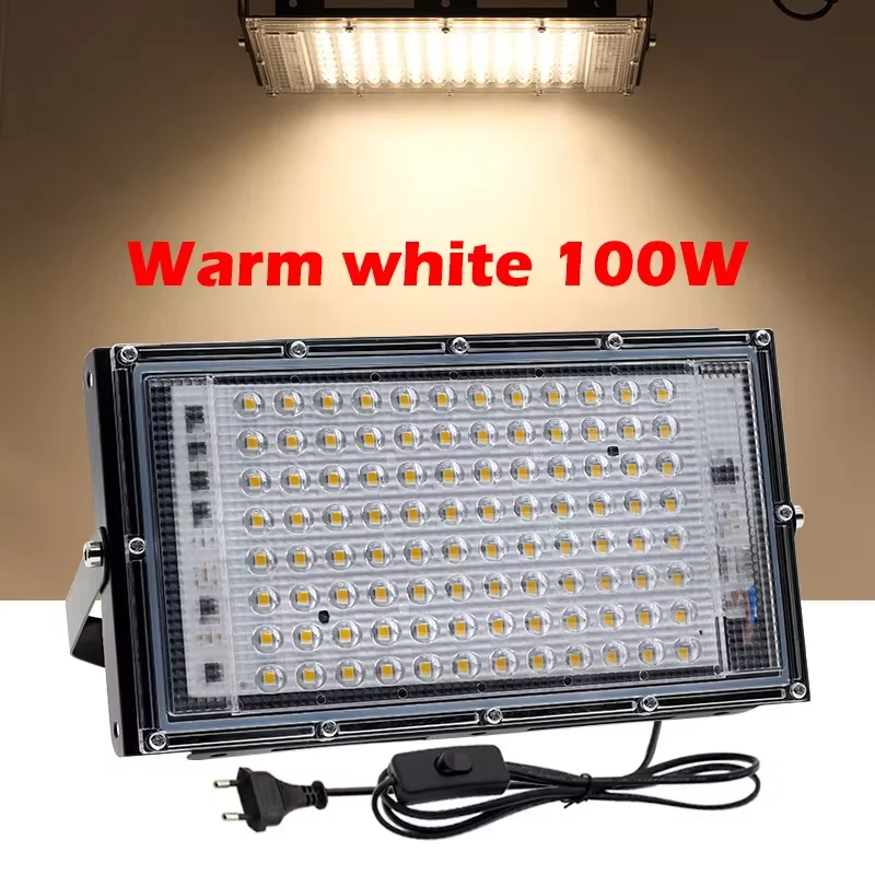 100WW-EU Plug