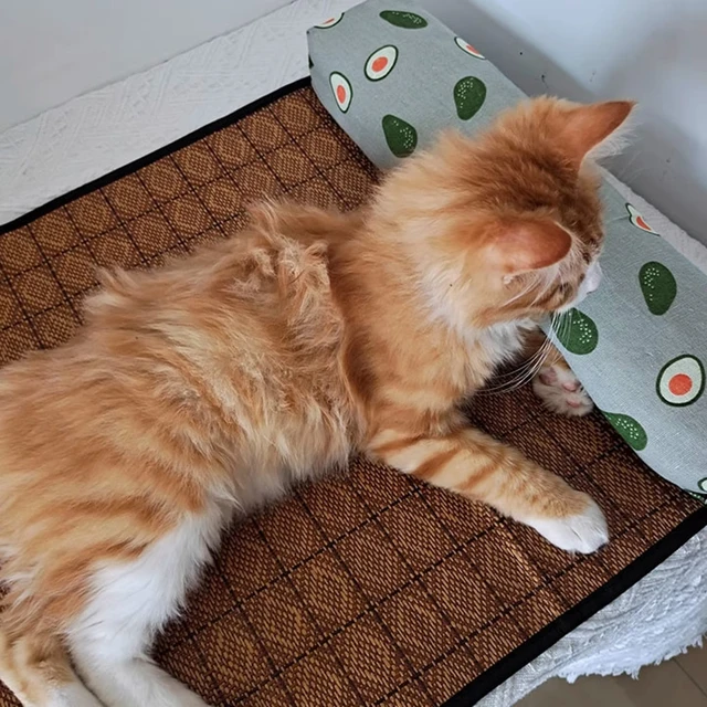 Cat Natural Cooling Mat Summer Pet Self Cooling Pad Cat Bed Mat For Dogs Indoor Rattan Weave Mat Sleeping Cat Bed 5