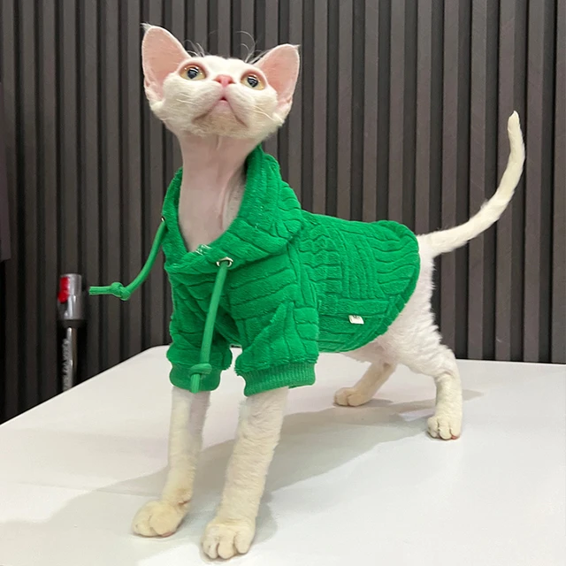 Designer Cat Sweater 