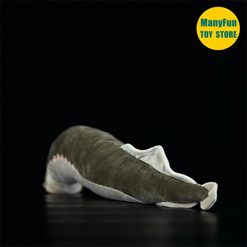 Lamprey Plush Toy High Fidelity Eel Plushie Hagfish Peluche Lifelike Stuffed Animals Simulation Doll Kawai Toy Gifts 5