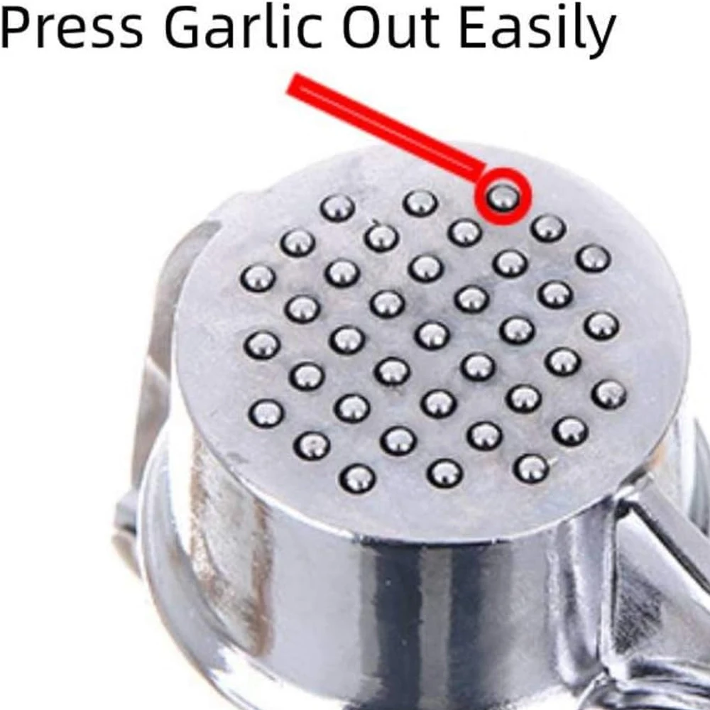 Stainless Steel Garlic Press 6