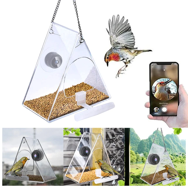 Mangeoire à oiseaux avec ventouse pour fenêtre, Mangeoires à oiseaux,  Étanche, Transparent, Outils d'alimentation, Montage de fenêtre, Acrylique,  Maison d'oiseaux - AliExpress