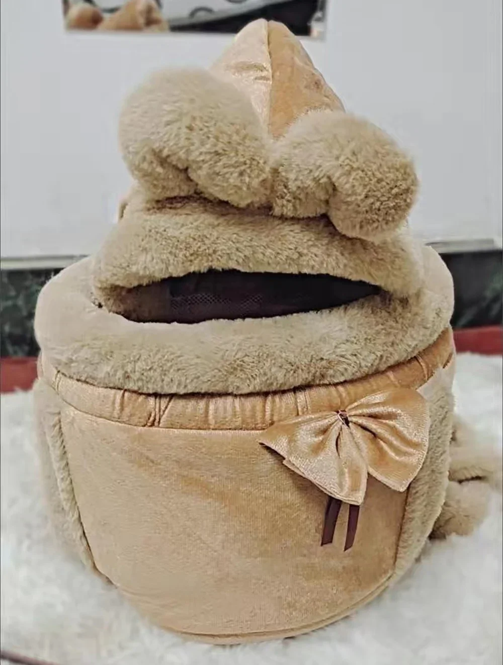 Winter Warm Pet Backpack Carrier for Small Dogs