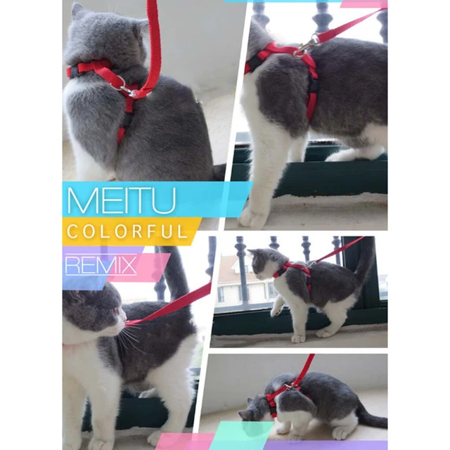 s Antiescape Juego De Arnu00e9s Y Correa Para Gatos O Perros Gris