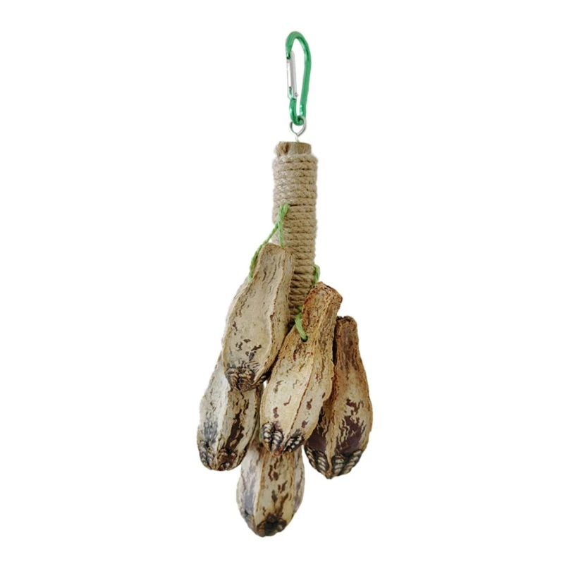 

Прочная игрушка-моляр для птиц, украшения из карамболы обеспечивают часы развлечений, подходят для новичков, опытных любителей