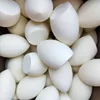 50Pcs Wholesale Mini Makeup Sponge Water Drop Shape Makeup Soft Foundation puff Concealer Flawless Mixed cosmetic makeup sponge 4