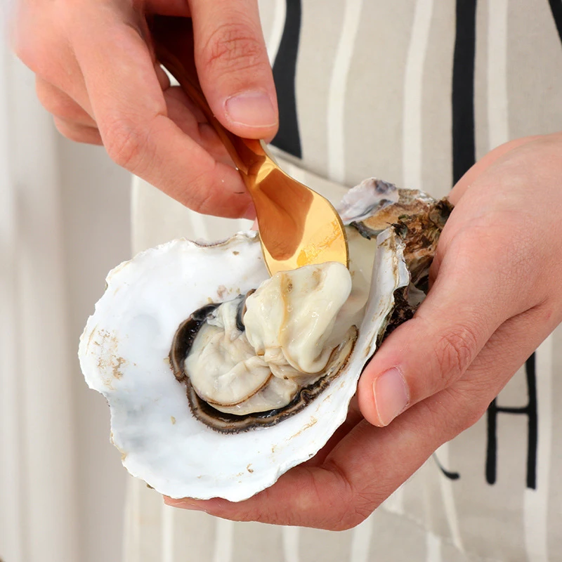 1 Pcs Oyster Knife Stainless Steel Sharp-edged Open Shell Seafood Opening Scallop Shell Oyster Knife Tool