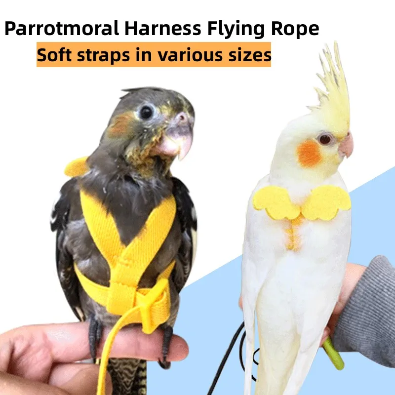 Bird Harness, Pet Parrot Bird Harness and Leash Flying Rope Straps Outdoor  Bird Flying Harness Training Traction Rope for Budgerigar Cockatiel Small