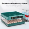EU/UK Egg Incubator with Automatic Egg Turning and Humidity Monitoring Mini Duck Incubator With Automatic Water Ionic Waterbed 4