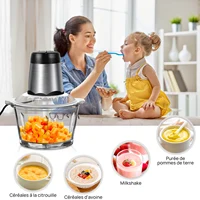 BRIEFNESS Mixeur Électrique 500W 2L 2 Vitesses avec Bol en Verre - Hachoir à Viande, Légumes, Fruits, Noix - Robot Cuisine Multifonction pour Broyage, Mixage, Découpe 6