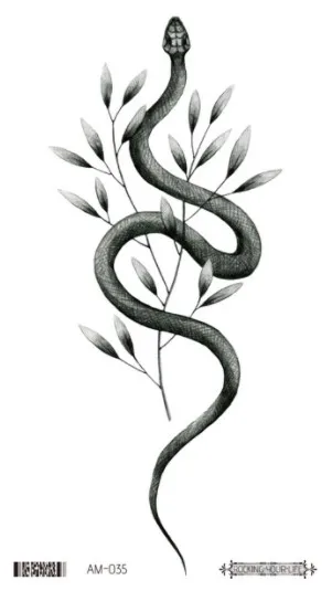 Image 21