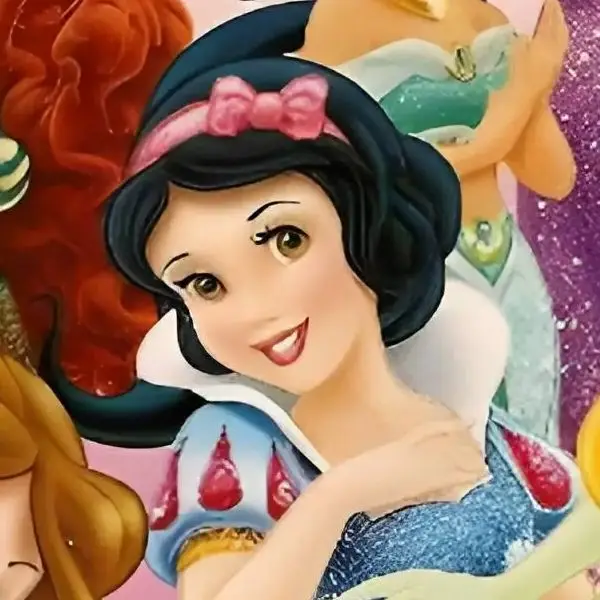 Disney Carpet Store